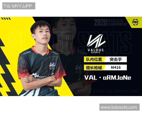 和平精英赛事分析WE战队比赛经验引发热议与争议探讨