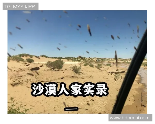 赵娜在S15电竞总决赛中的DOTA2人生深度对话与职业生涯回顾 赵娜在S15电竞总决赛中的DOTA2人生深度对话与职业生涯回顾